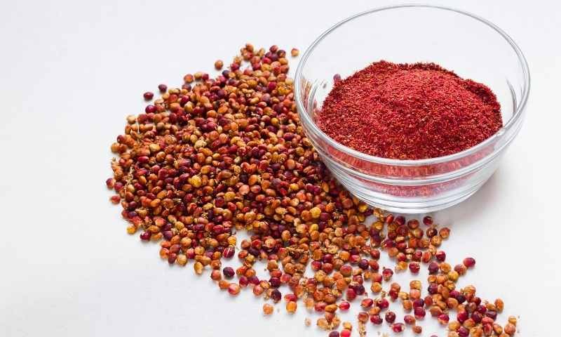 Is Sumac Eaten During Pregnancy? Is Eating Sumac Harmful or Beneficial while Pregnant?