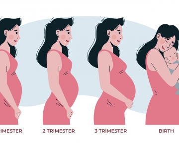 How Many Weeks, How Many Days and How Many Months Does Pregnancy Last? How Long Is a Healthy Pregnancy Period?