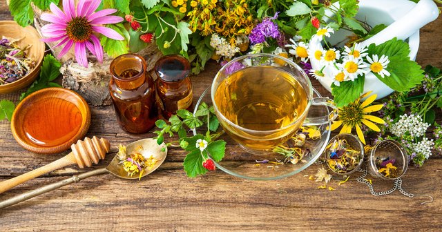 Is Herbal Tea Drinking, Harmful Or Useful During Pregnancy?