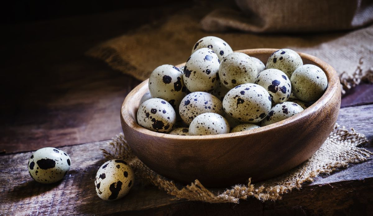 Hamilelikte Bıldırcın Yumurtası İçilir Mi? Gebeyken Bıldırcın Yumurtası İçmek Faydalı Mıdır?