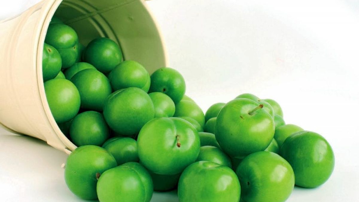 Eat Plums or Drink Water During Pregnancy? Is It Useful To Cook Green Plum And Eat Green Plum While You Are Pregnant?