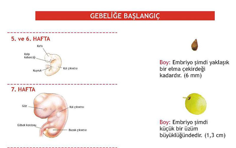 GEBELİĞE BAŞLANGIÇ